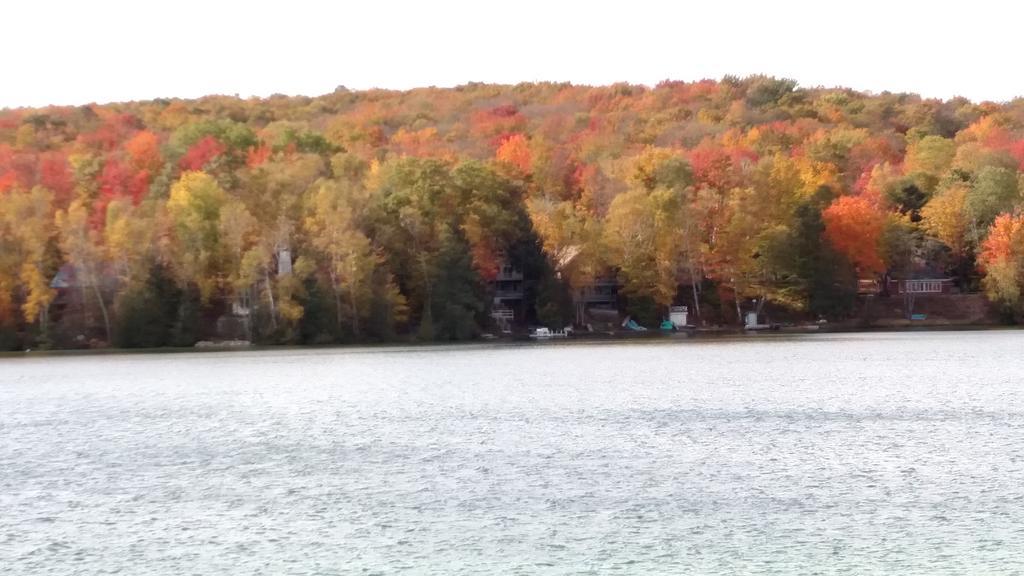 Log Cottage On Blue Lake Kalkaska Exterior foto